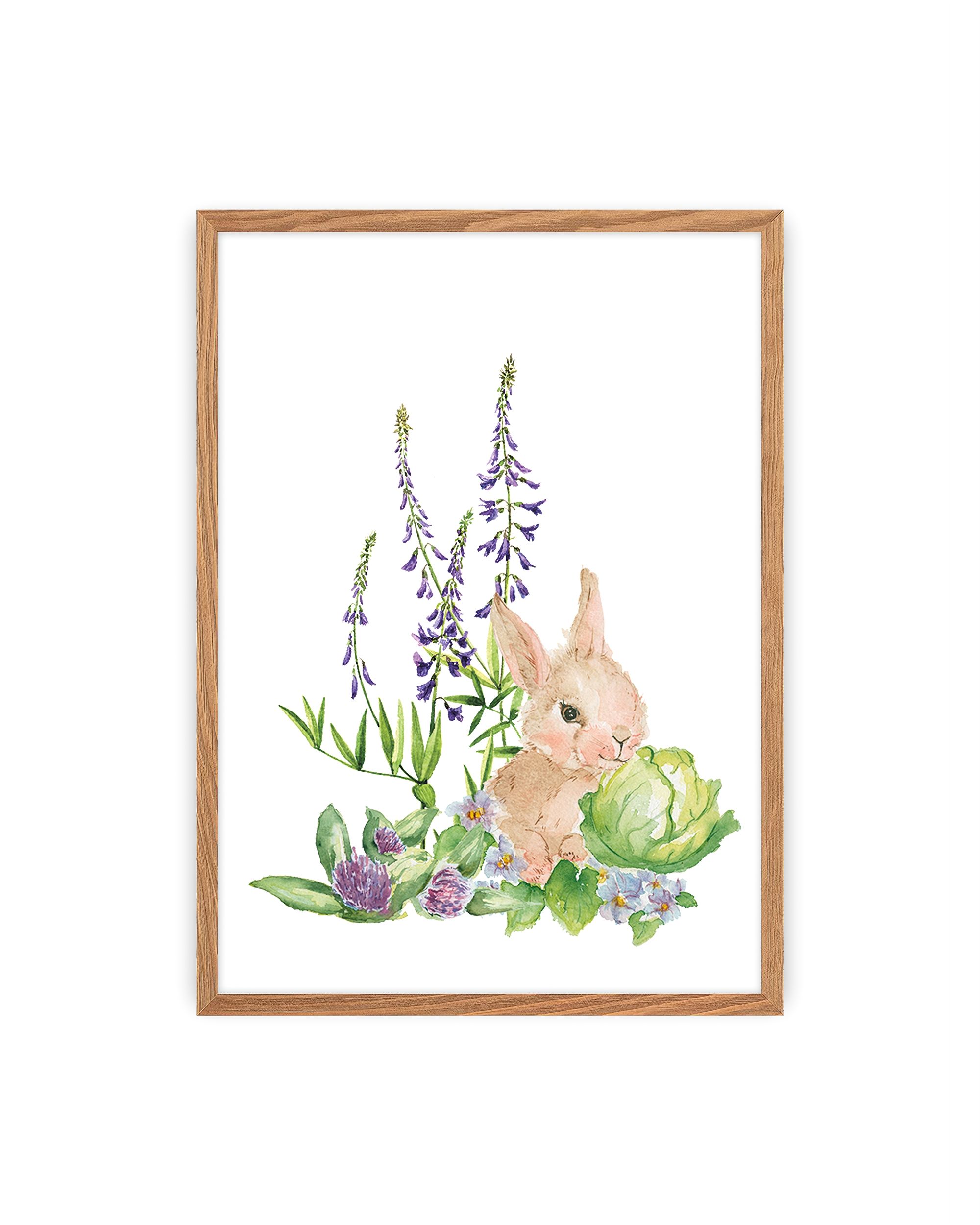 Bild Forest Story Hare