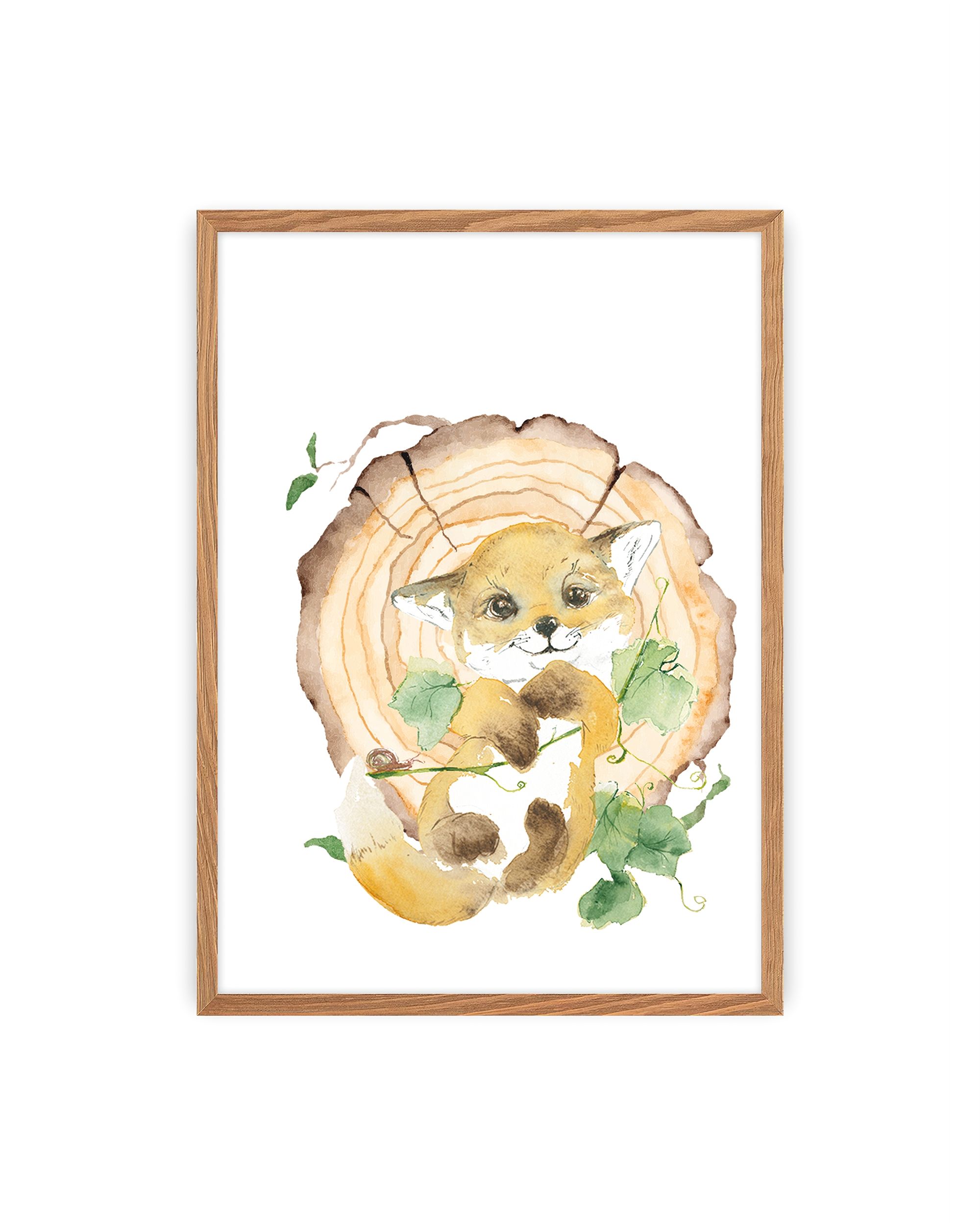 Bild Forest Story Fox
