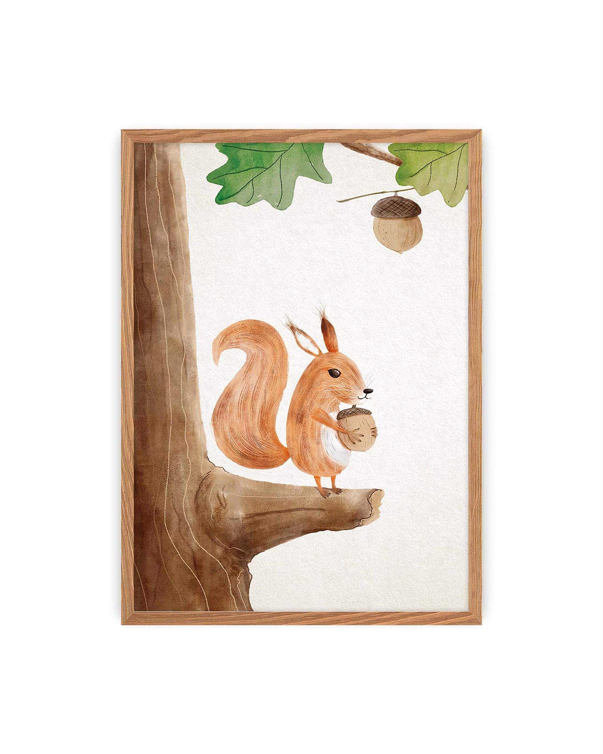 Bild Forest Story Squirrel
